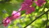 6ptxs8hmo3 wb042648