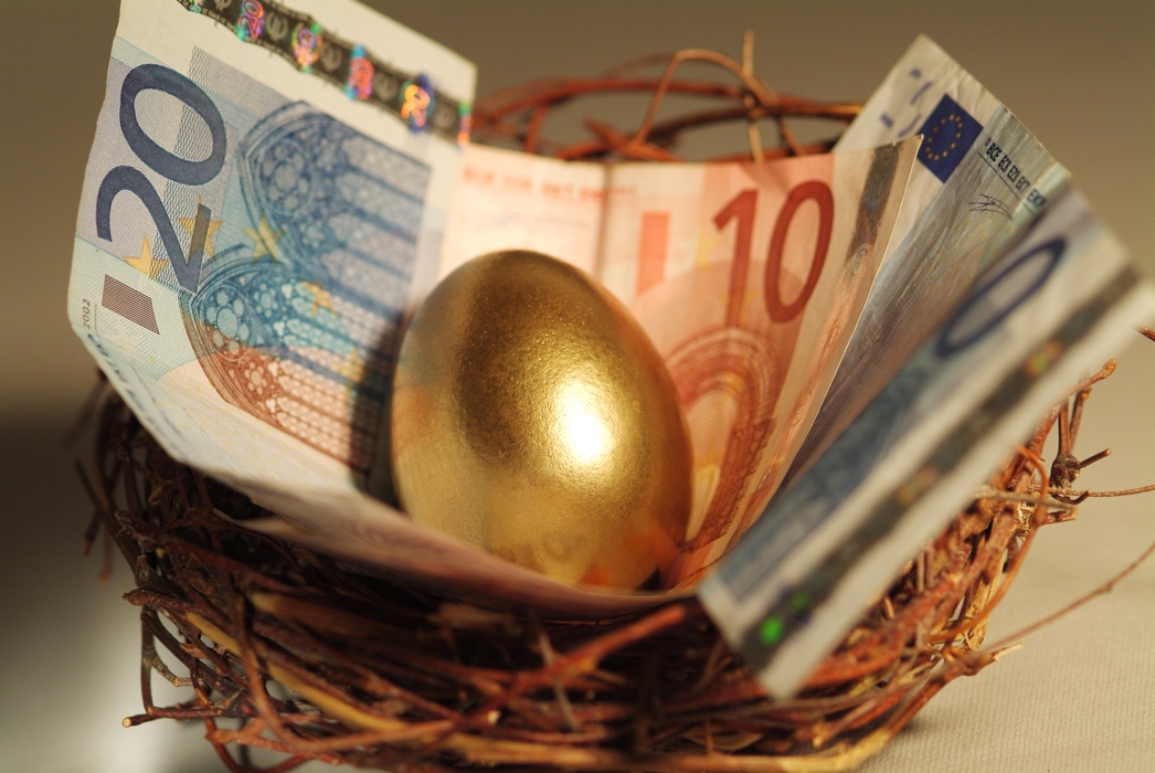 Nest Egg with Euros