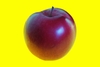 8hxwgrr8jx wb044112