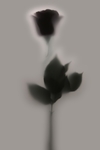 8lhfyqpxde wb032586