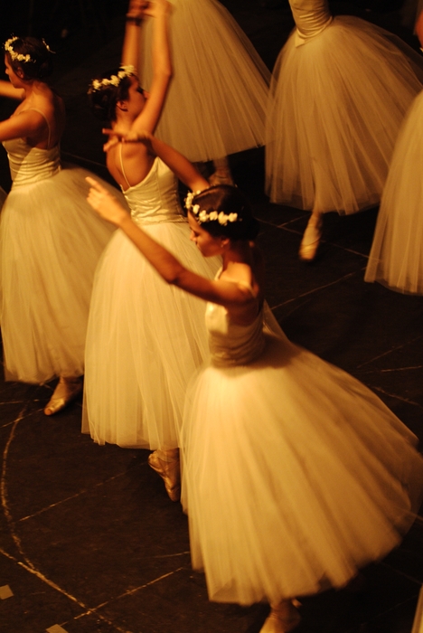 An Evening at the Ballet: Ballerinas Dance