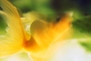 6wmhvqtgmh wb044927