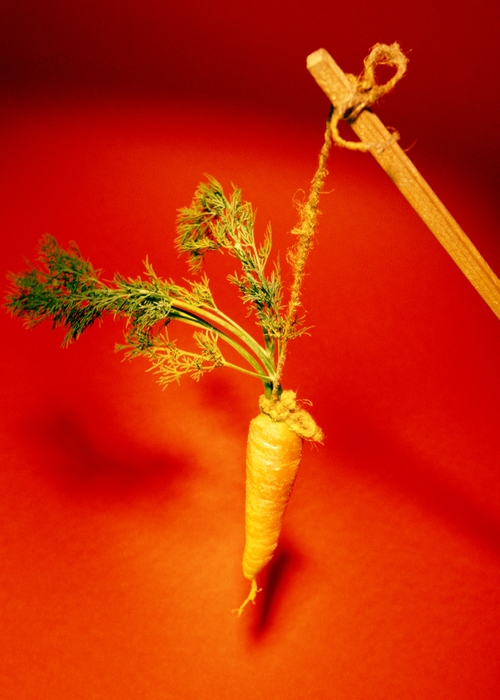 Carrot on a Stick