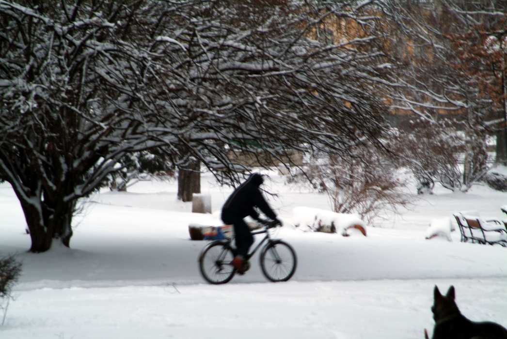 Cycling in Winter