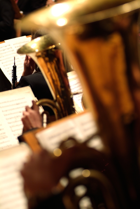 Concert Tuba Players in the Orchestra