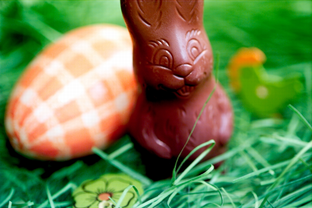 Chocolate Easter Bunny with Easter Egg