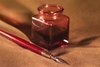 608xwdtxlu wb033020