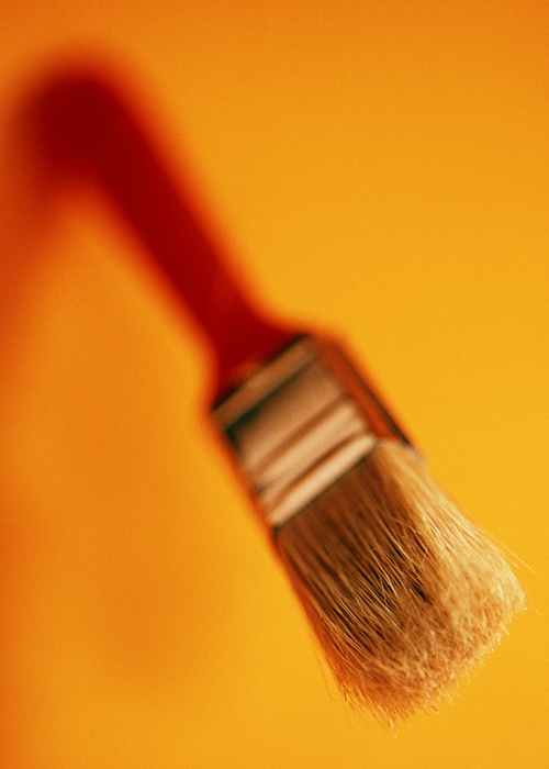 Paint Brush