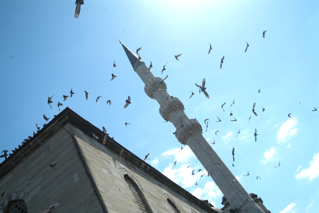 Arpacilar Mosque Minaret, Istanbul, Turkey with Pigeons