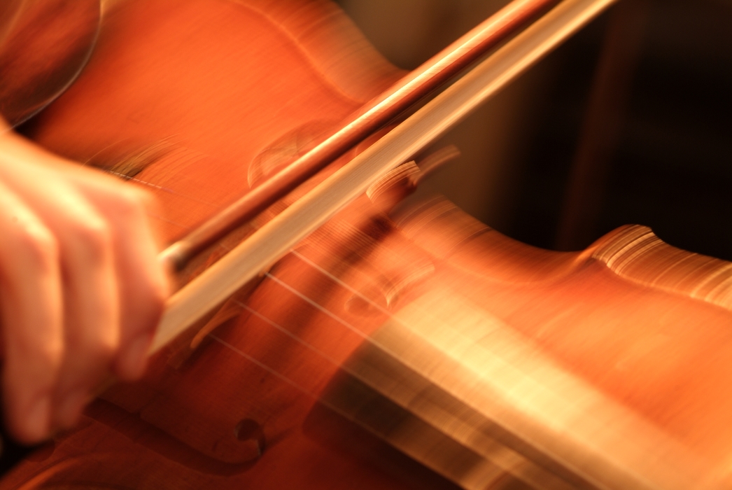 Concert Violinist in the Orchestra Bows the Strings