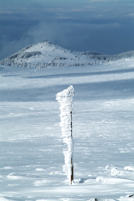 Frozen Winter Landscape Scene