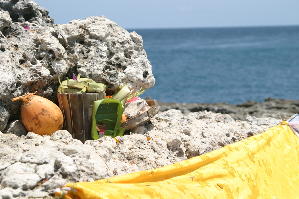 Beach Coral with Picnic