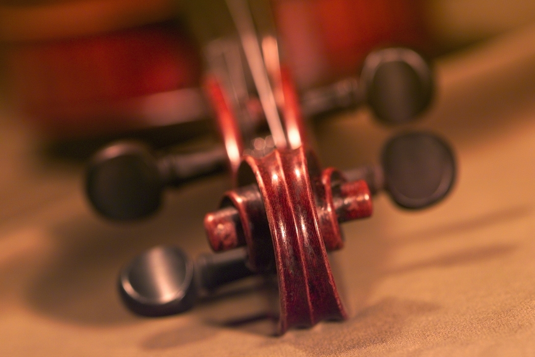 Violins Headstock