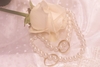 7y1zv3bl44 wb043199