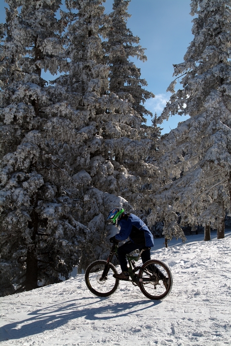 Cycling in Snow on a Bright Winter Day