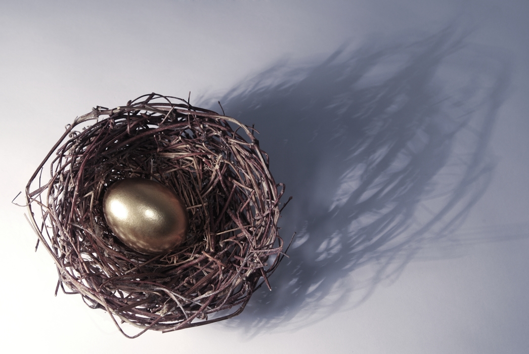 Golden Egg in a Nest with Dramatic Shadow