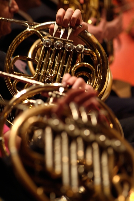 Orchestral French Horn Players