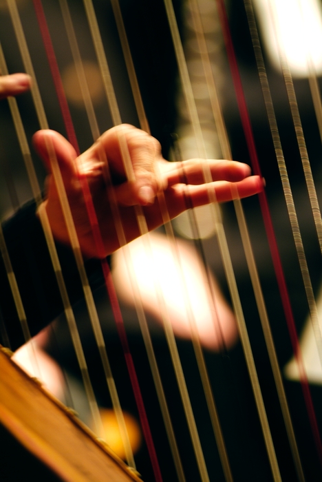Concert Harpist in the Orchestra Fingers on Strings