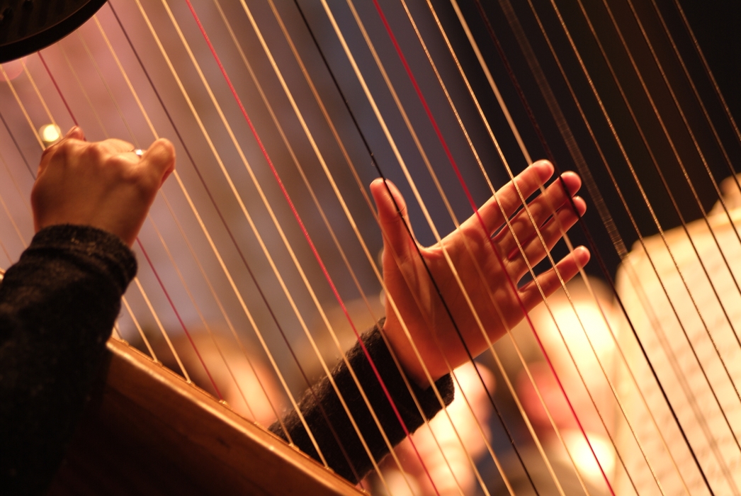 Concert Harpist in the Orchestra