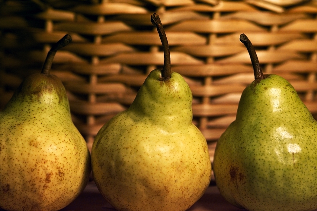 Three Ripe Pears