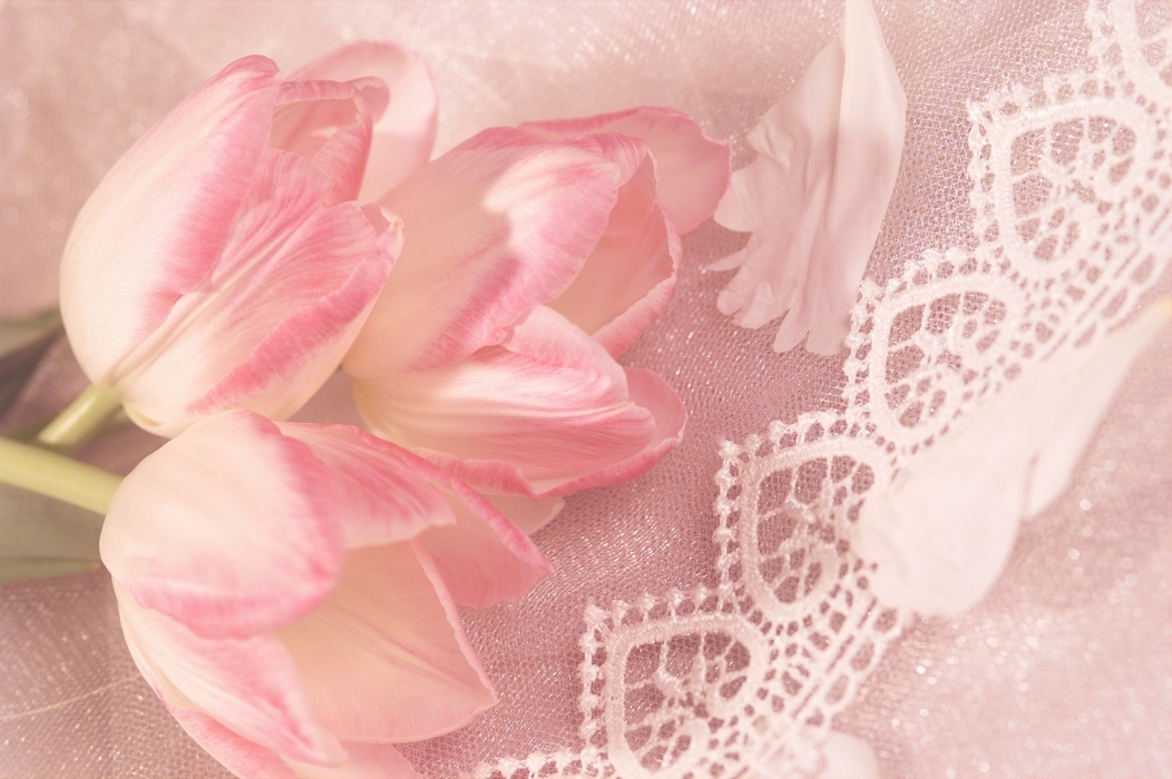 The Wedding Day:  White and Pink Tulips on Lace