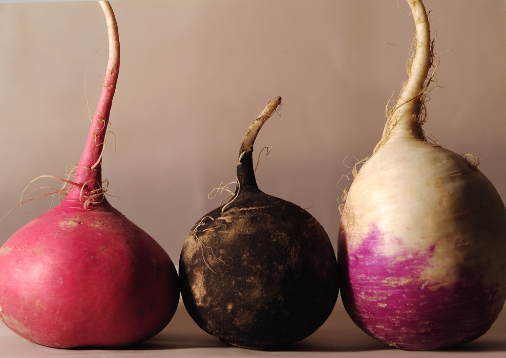 Radish Root Vegetables