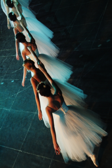 An Evening at the Ballet: Ballerinas Dance