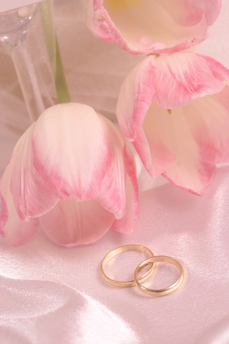The Wedding Day:  Wedding Rings with Pink and White Tulips