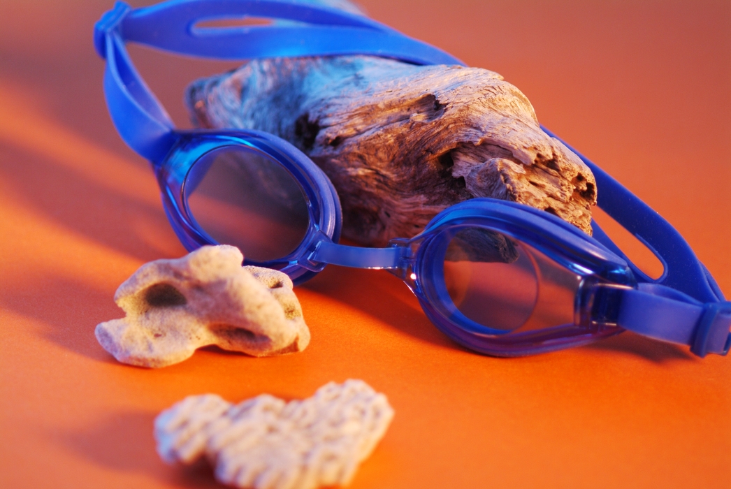 Seashells, Goggles and Driftwood