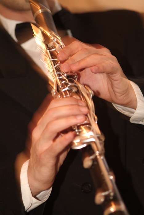 Orchestral Clarinetist Playing