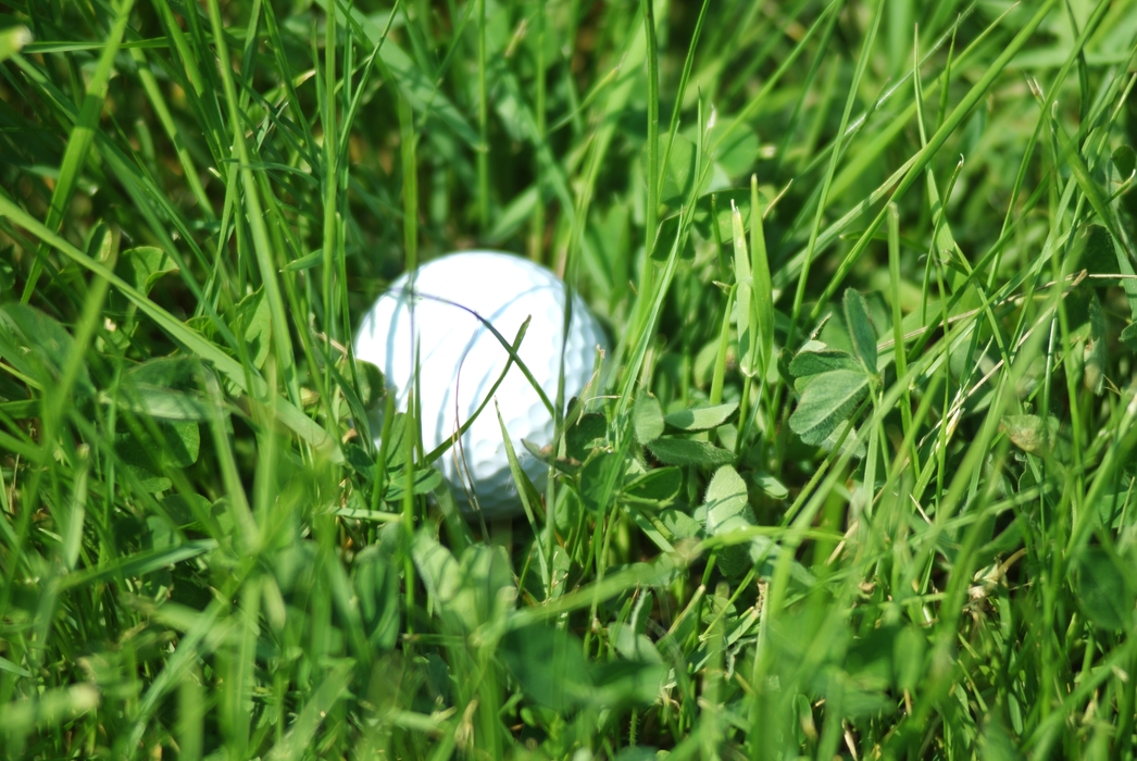 Golf Ball in The Rough