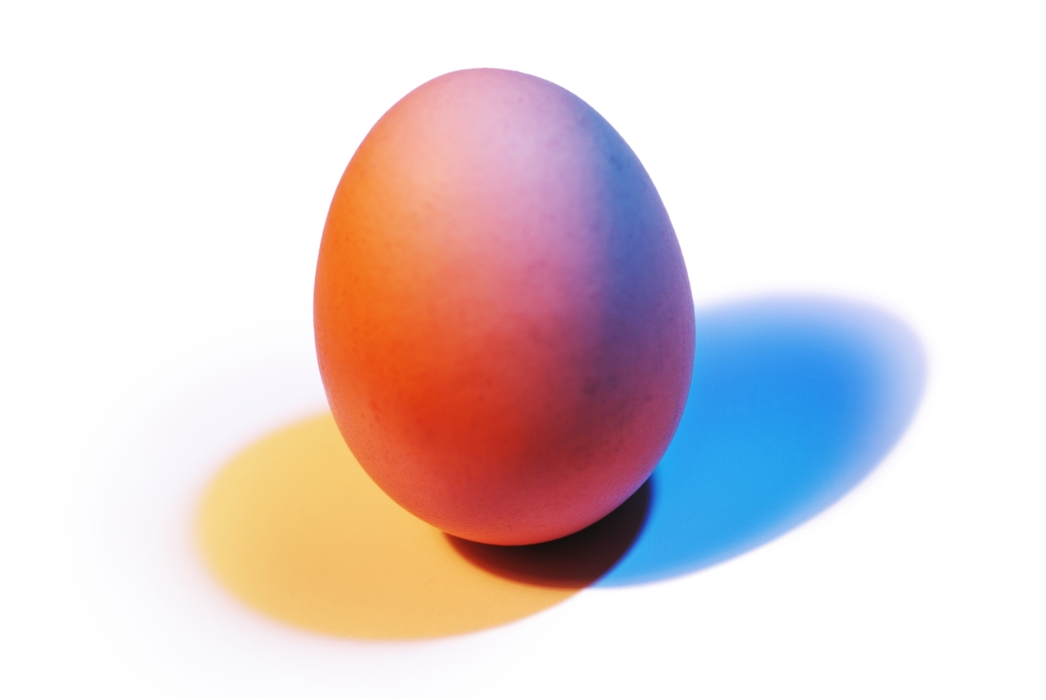 Egg