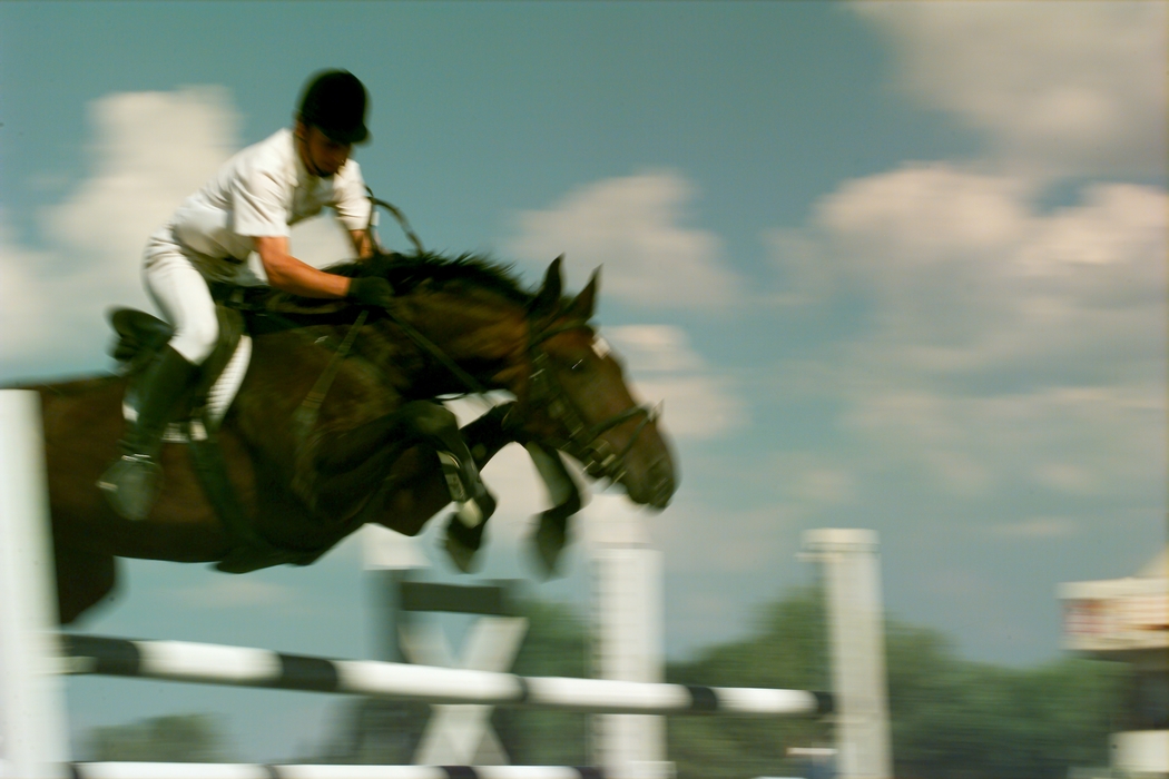 Equestrian - Horse Jumping a Fence