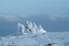3rvwyrrfcj wb043773