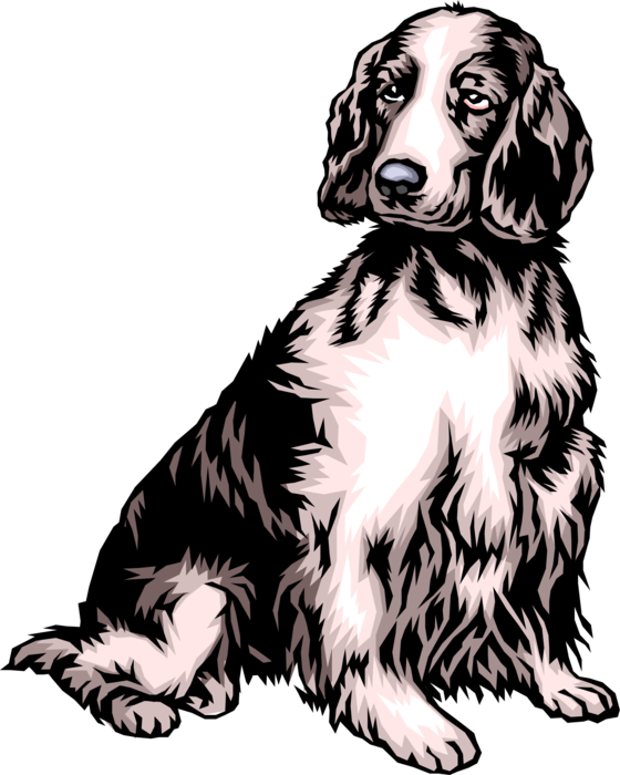 Vector Illustration of Family Pet Cocker Spaniel Dog Sitting
