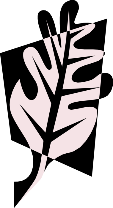 Vector Illustration of Deciduous Forest Tree Oak Leaf