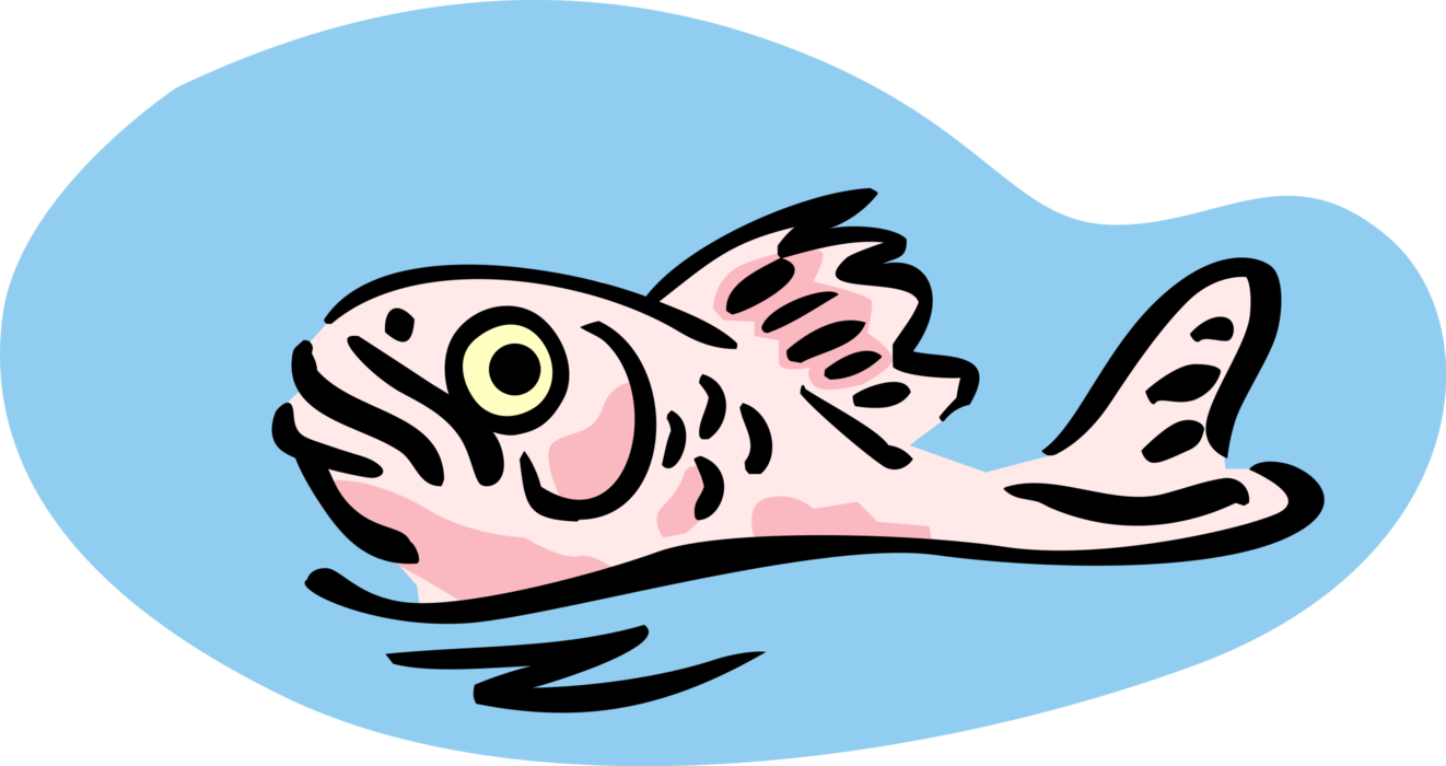 Vector Illustration of Surfacing Fish Swims on Water Surface