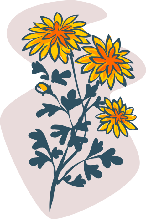 Vector Illustration of Yellow and Orange Garden Flowers