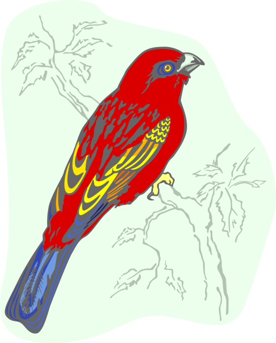 Vector Illustration of Feathered Vertebrate Red Bird