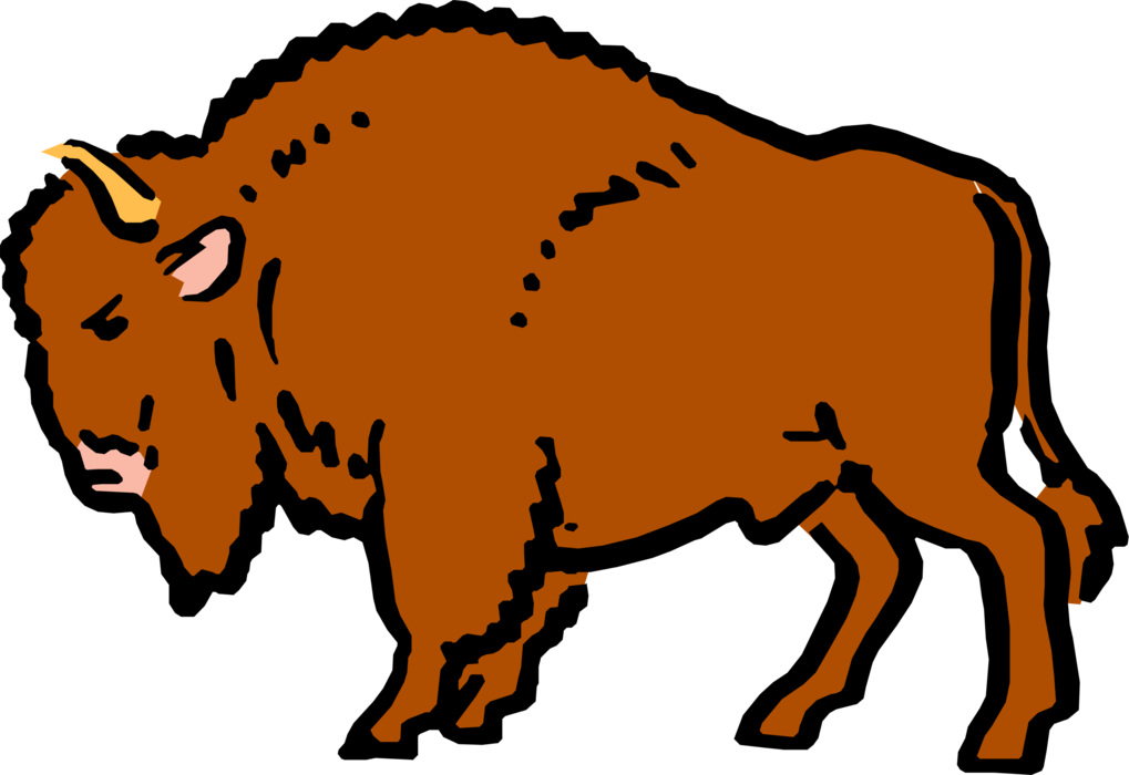Vector Illustration of Cartoon Bison Buffalo