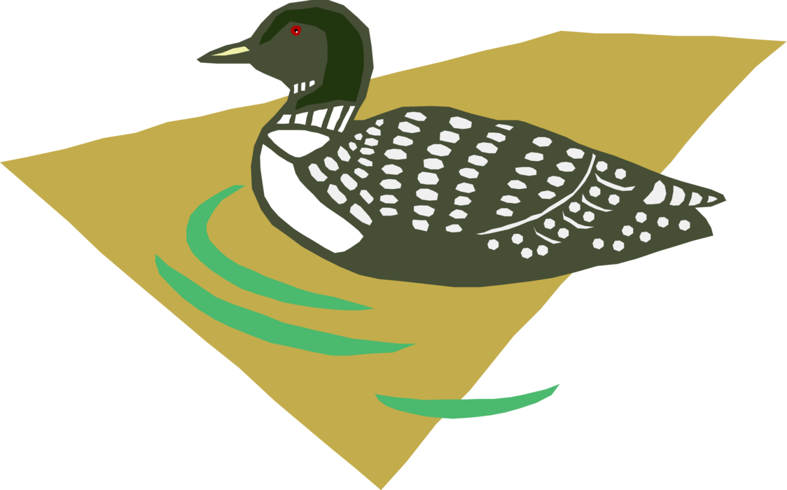 Vector Illustration of North American Aquatic Diving Bird Loon