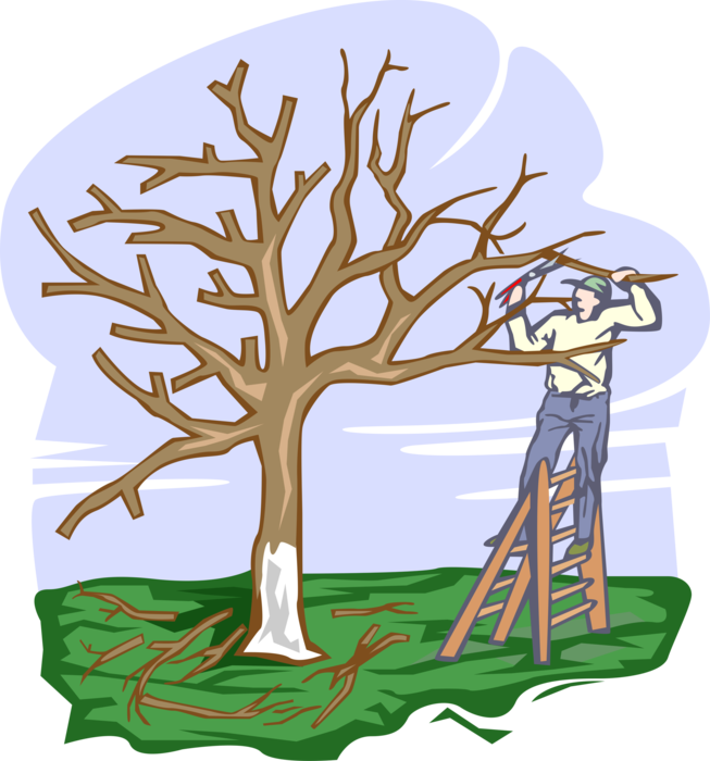 Vector Illustration of Forestry Arborist Pruning Tree