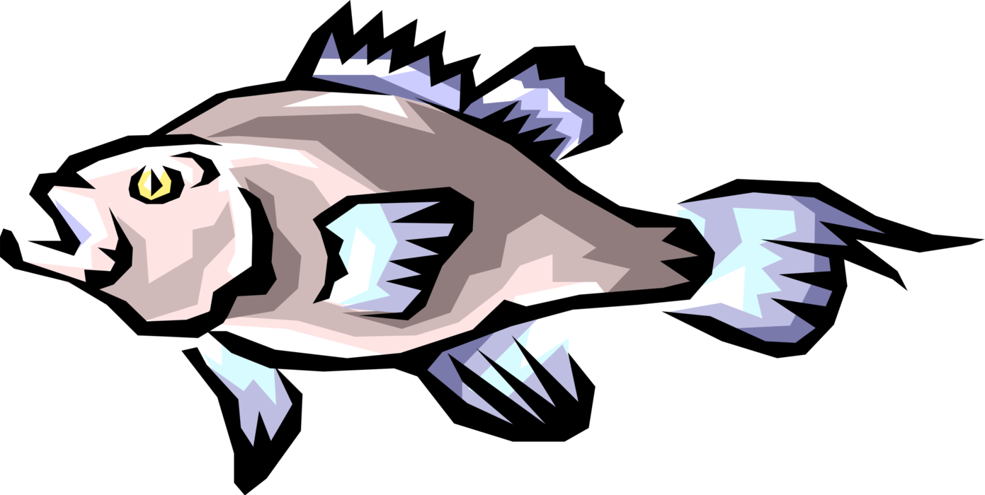 Vector Illustration of Freshwater Gamefish Fish