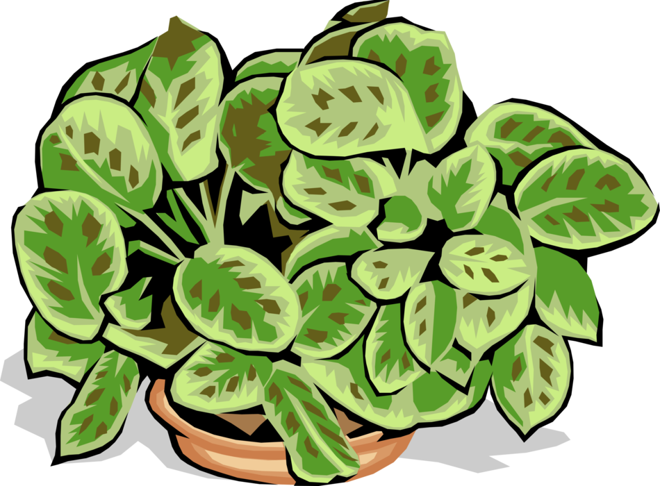 Vector Illustration of Potted Houseplant