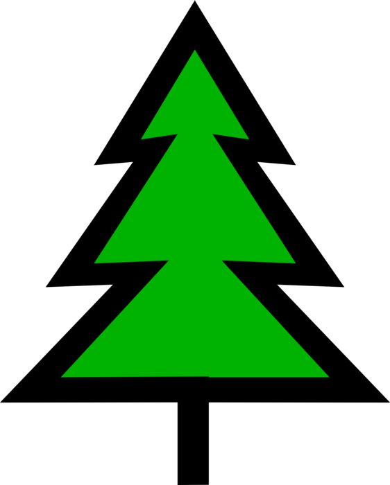 Vector Illustration of Coniferous Evergreen Fir Pine Tree