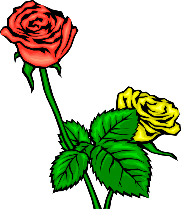 Vector Illustration of Red and Yellow Flower Roses
