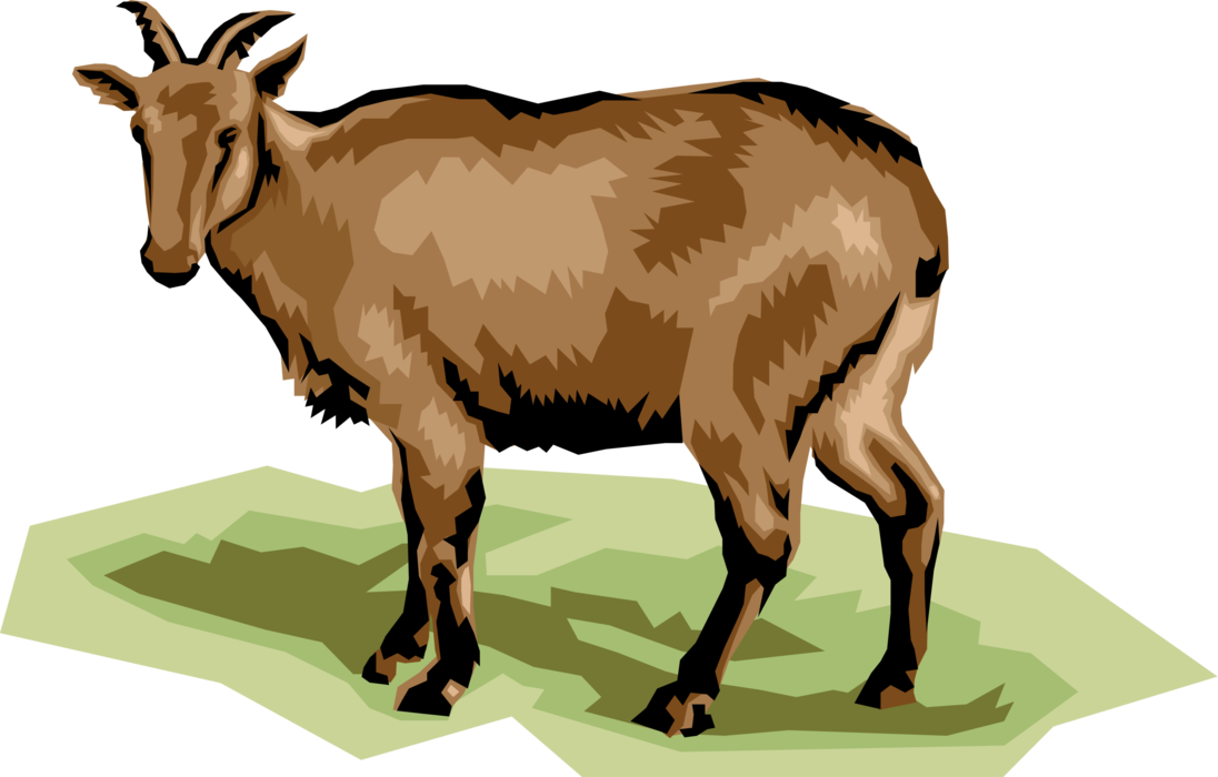 Vector Illustration of Ruminant Mammal Deer