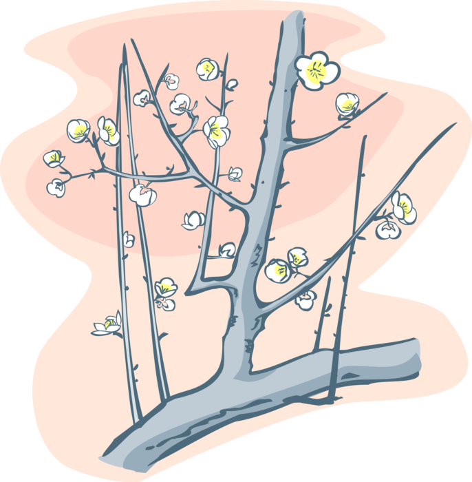 Vector Illustration of Cherry Blossom Flowers in Bloom on Tree Branch in Spring