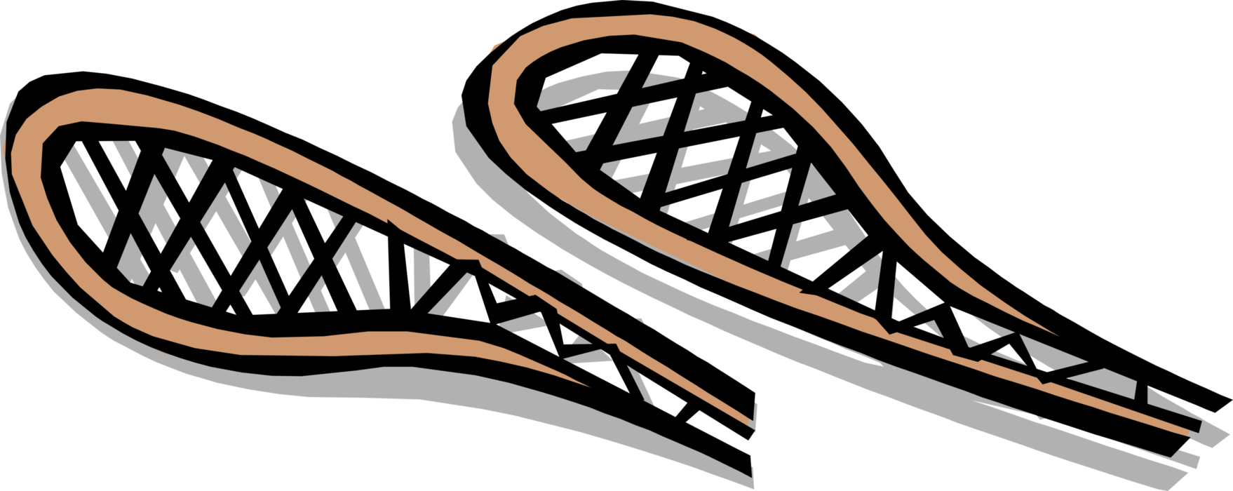 Vector Illustration of Snowshoes for Walking on Snow