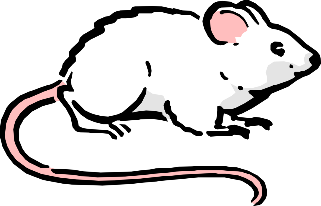 Vector Illustration of Cartoon Rodent White Mouse